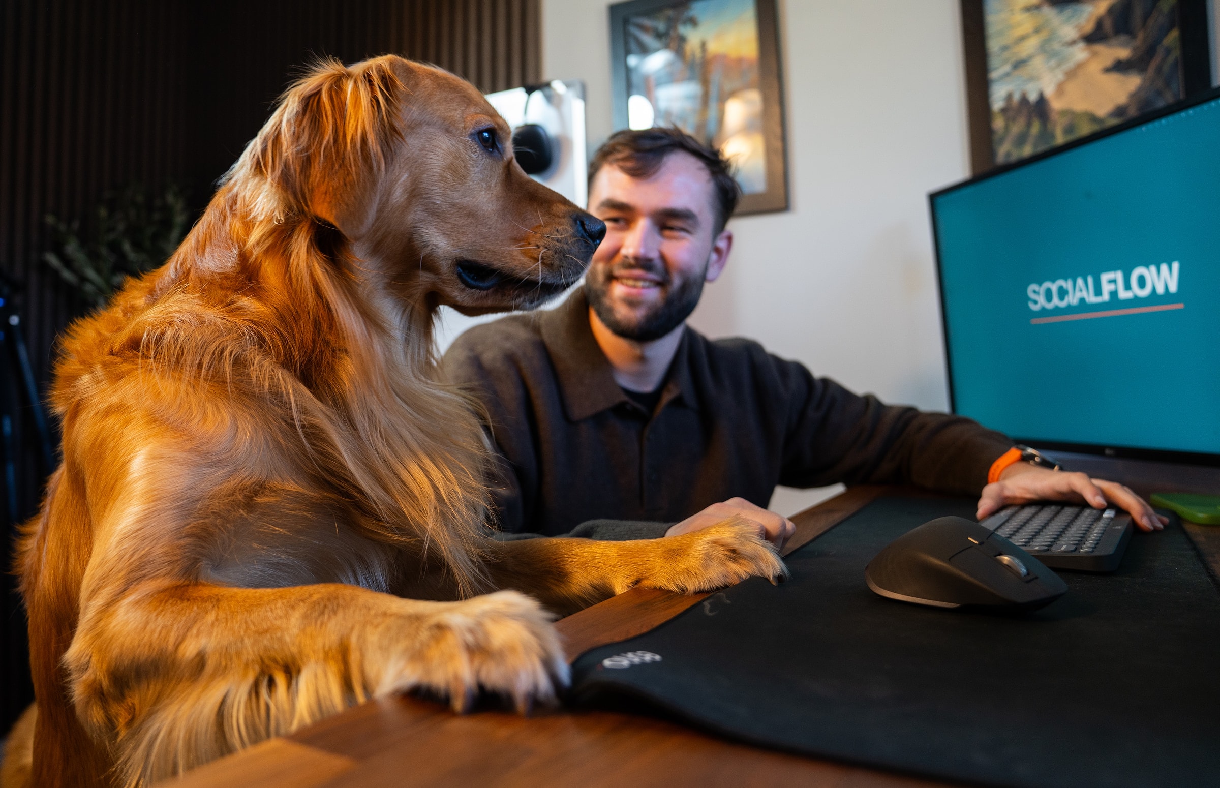 Luke Watkins at his desk in the Social Flow office, his golden retriever beside him